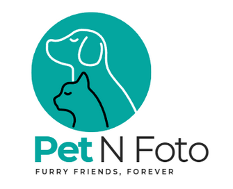 Pet N Foto